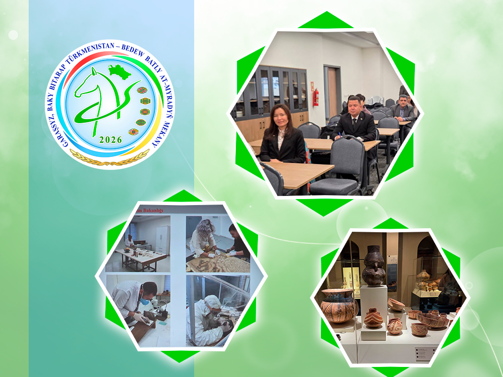 Anatoliýa medeniýetleri muzeýinde maslahat